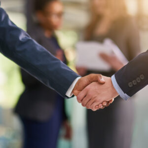 Professional Services