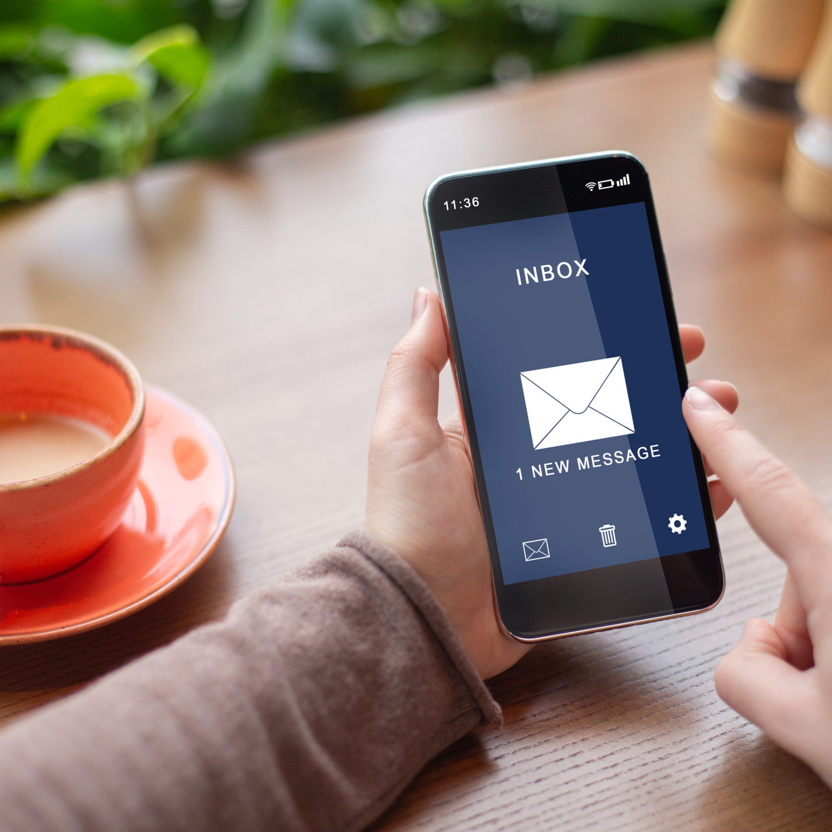 SMS Alerts